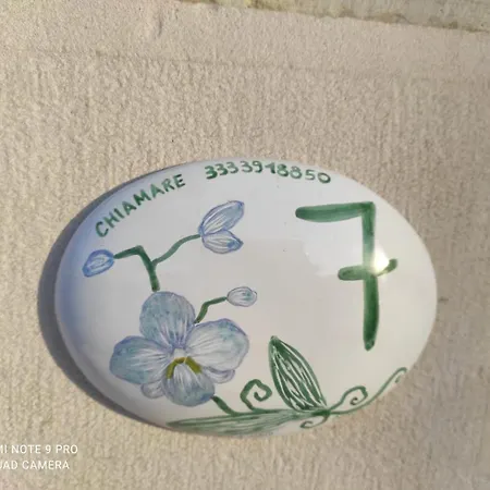 Celeste - Palazzo D'addario 4* Celenza Valfortore