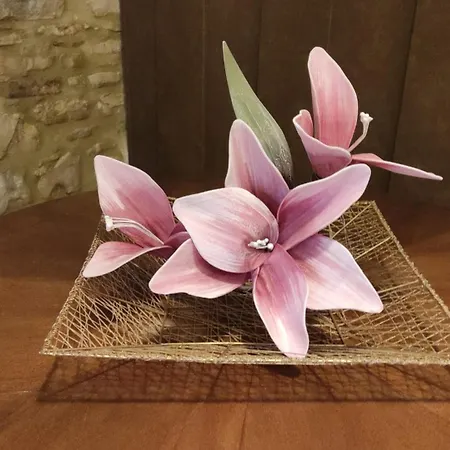 Alojamento de Acomodação e Pequeno-almoço Celeste - Palazzo D'addario 4*