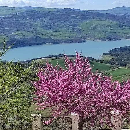 Celeste - Palazzo D'addario Bed and breakfast 4*